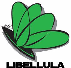 Logo Libellula Music